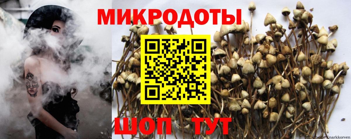 Псилоцибиновые грибы Psilocybine cubensis  Вход с VPN  Реж 